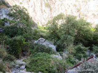 stoleone-31-08-2015 09-08-29